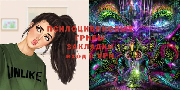 шишки Аркадак