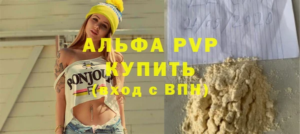 индика Арсеньев