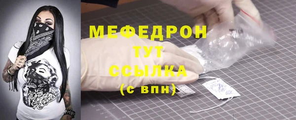 индика Арсеньев