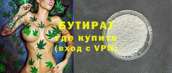 индика Арсеньев