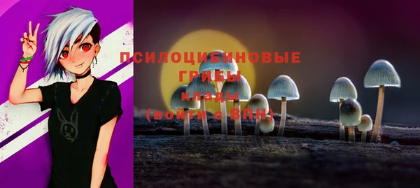 индика Арсеньев