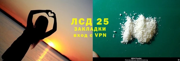 индика Арсеньев
