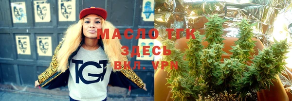 индика Арсеньев