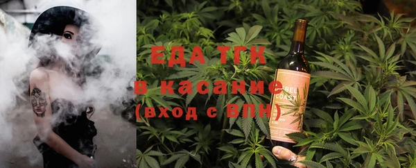 индика Арсеньев