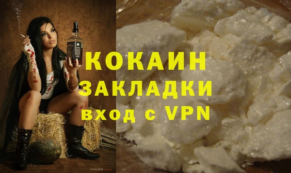 шишки Аркадак