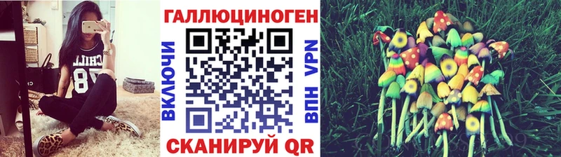 Псилоцибиновые грибы MAGIC MUSHROOMS  Качканар 